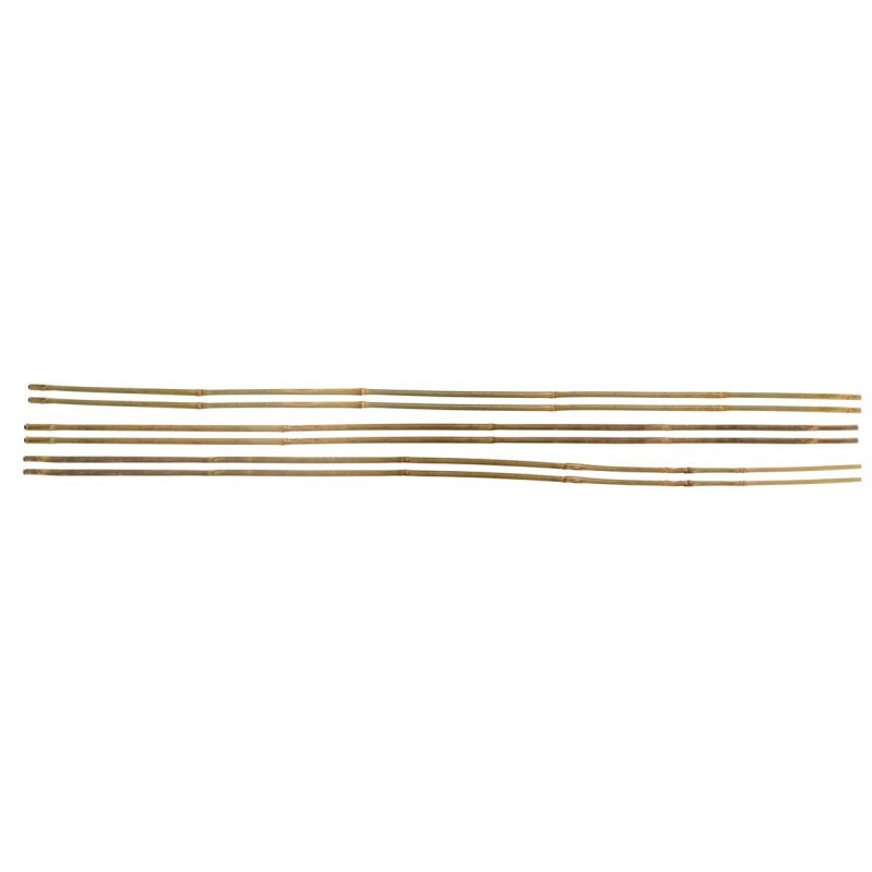 Stocker Loose bamboo braces 150 / diameter 22 24