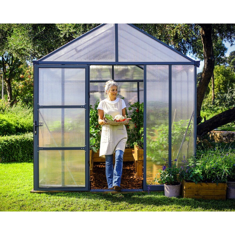 Canopia Glory Gartengewächshaus aus hochwertigem Polycarbonat, 244 x 253 x 268 cm