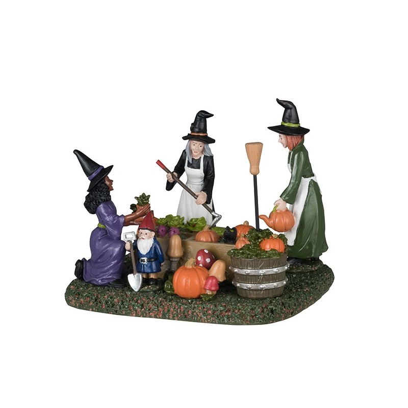 Witches' Community Garden Ref. 43704