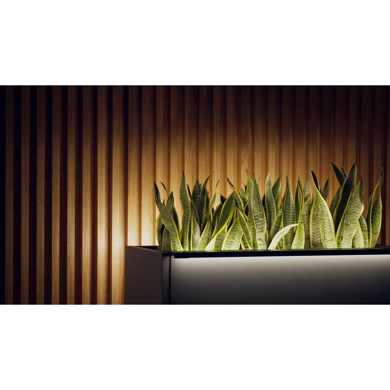 Herstera PLANTER DIVIDER 40 Hoher Pflanzkasten aus anthrazitfarbenem Metall 100 x 40 x 115 cm