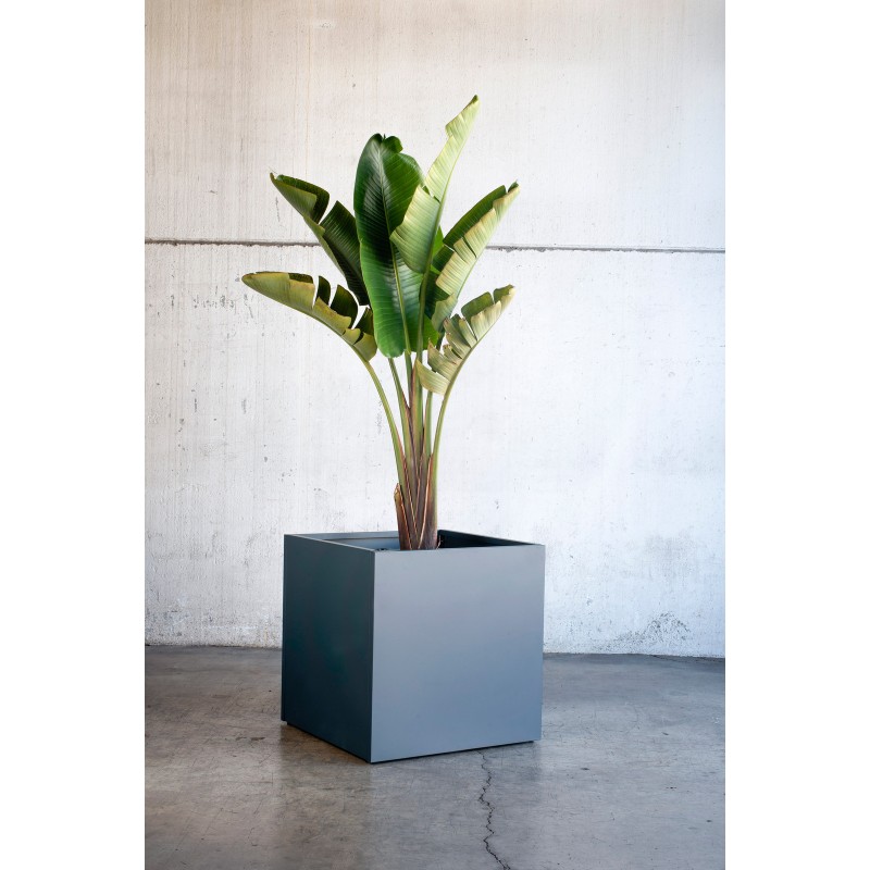 Cubo Herstera PLANTER CUBE 80 Pflanzgefäß aus anthrazitfarbenem Metall 80x80x80 cm