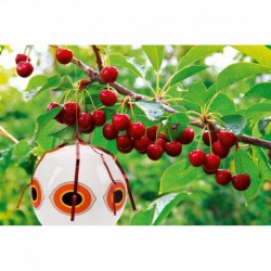 Stocker Globo blanco espantapájaros Ø40 cm