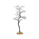 Morning Dew Tree, Medium Cod. 74250