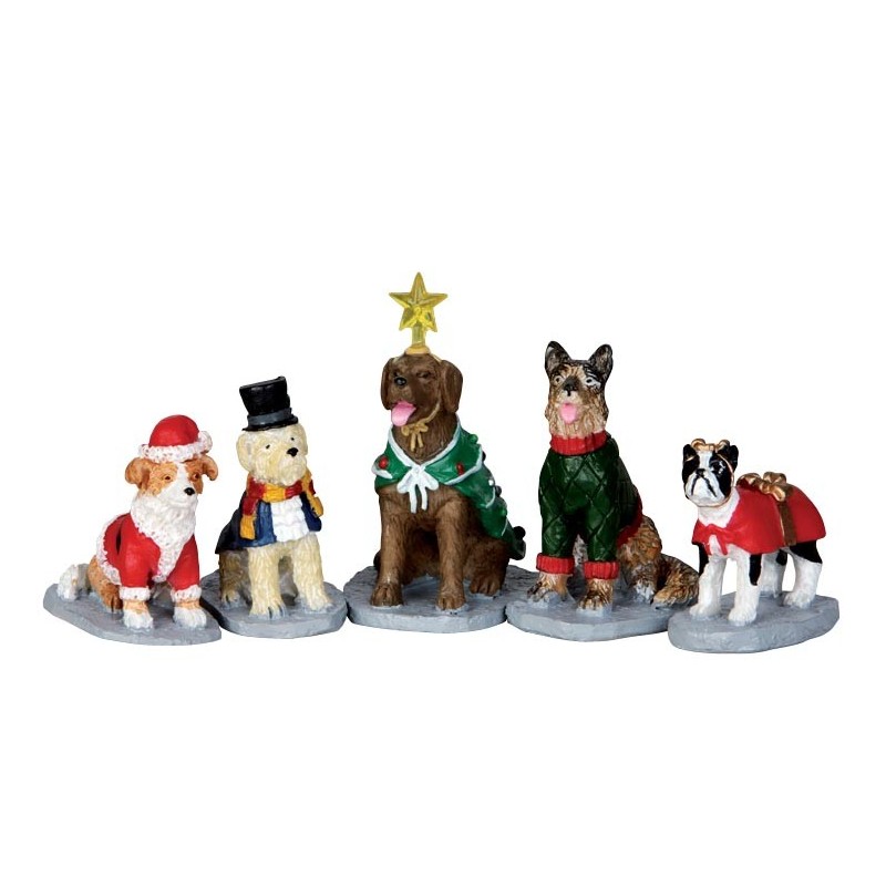 Costumed Canines Set of 5 Cod. 32126