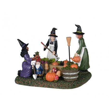 Witches' Community Garden Ref. 43704