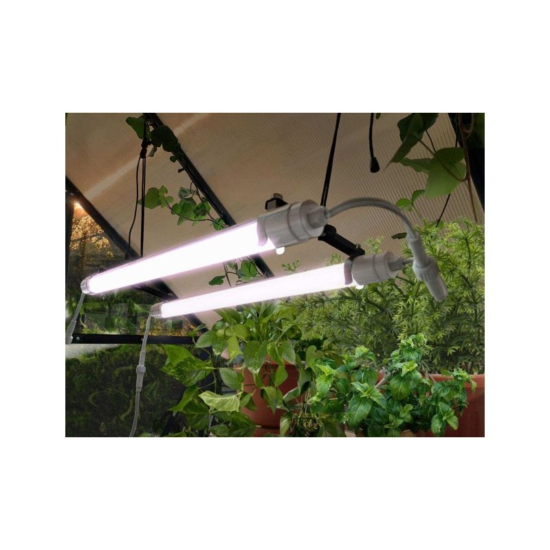 Lámpara LED de crecimiento de plantas Canopia Brighton