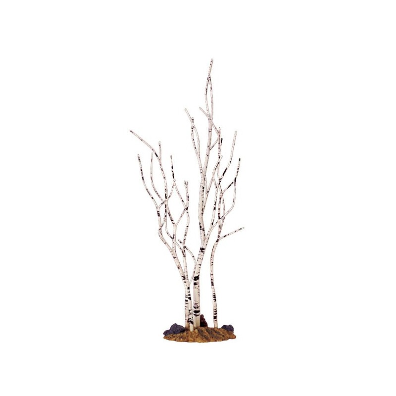 Birch Tree Medium Cod. 34967