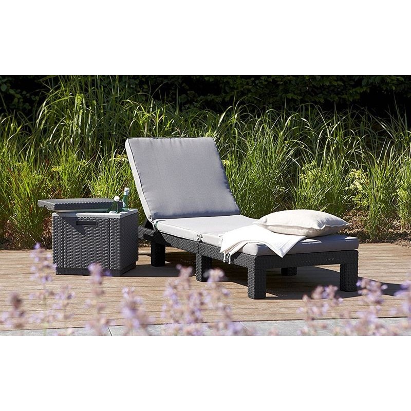 Keter Lounger With Cushion DAYTONA Graphite