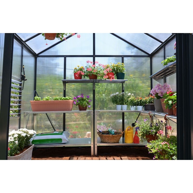 Canopia Glory Garden Greenhouse in Premium Polycarbonate 244X253X268 cm