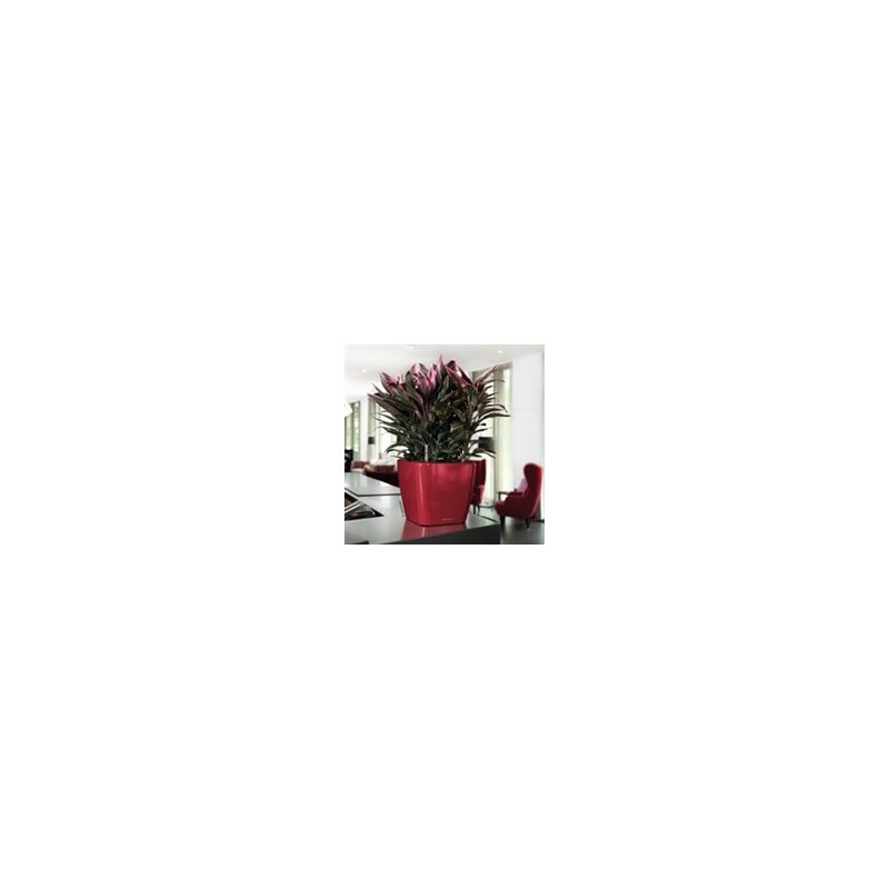 Premium Square Vase 28 Lechuza Ensemble Complet