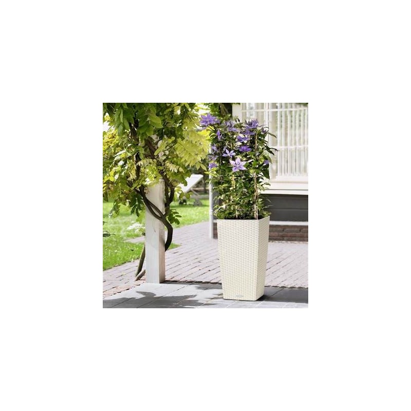 Cottage Cubic Vase 40 Lechuza Ensemble complet