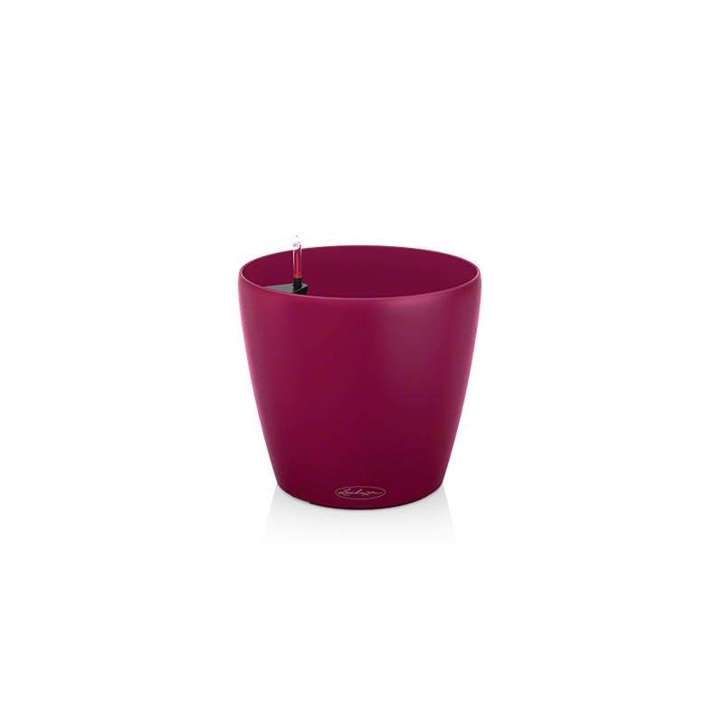 Vase Classique Couleur 21 Lechuza Set Complet