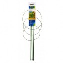 Plante Stocker prend en charge 60 cm