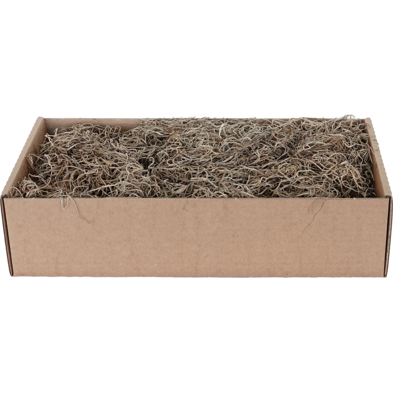 Natural Spanish Moss 500 g