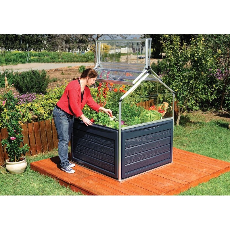 Canopia Plant-inn Mini Serre de Jardin en Polycarbonate 118X118X148 cm