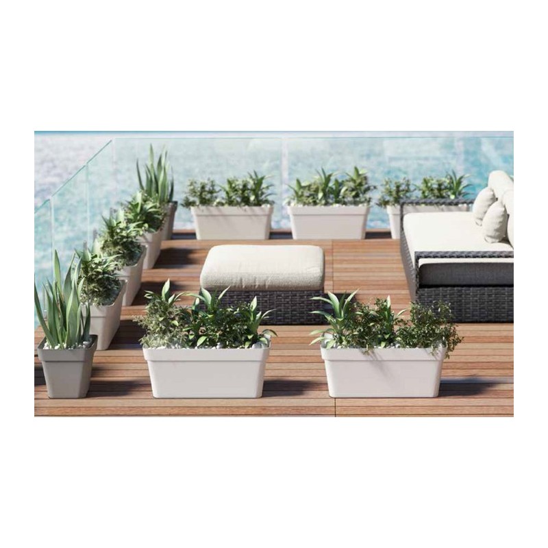 Cleo planter