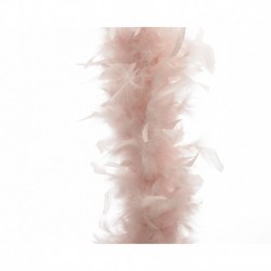 Garland of Old Pink Feathers 180 cm