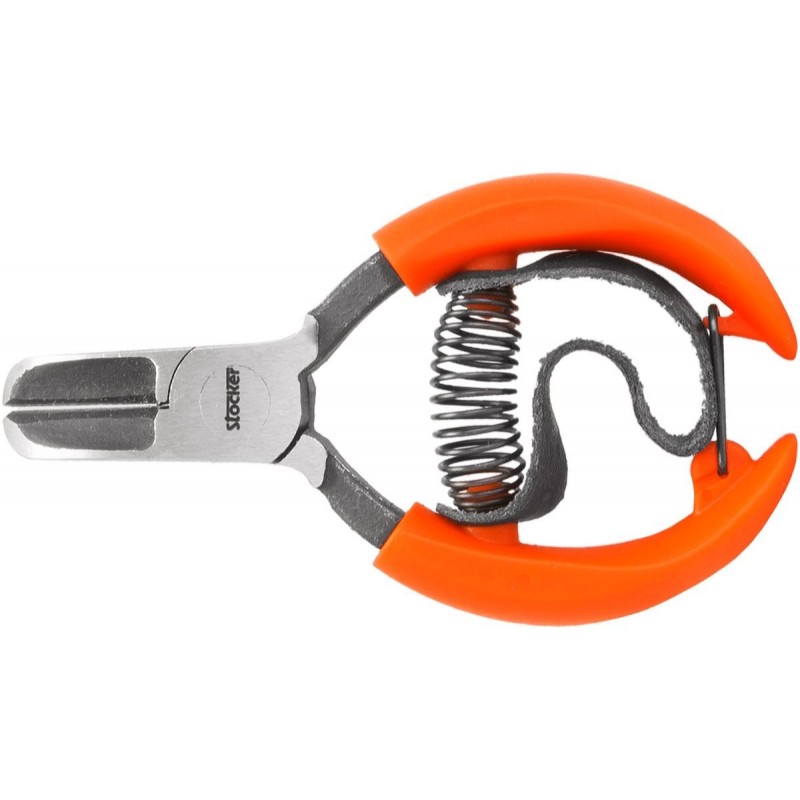 Stocker Citrus shears with belt 10 cm