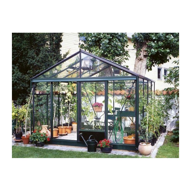 Professional Tulip Greenhouse Eaves height 1.81 m