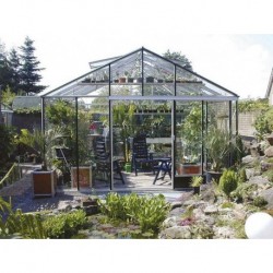 Professional Greenhouse Anemone Eaves height 1.81 m