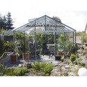 Professional Greenhouse Anemone Eaves height 2,01 m