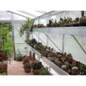 Cultivation bench for Professional Greenhouse