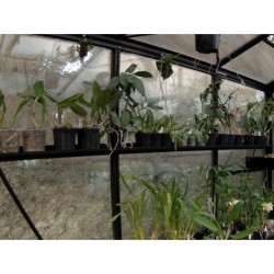 Aluminum support shelf for Professional Greenhouse