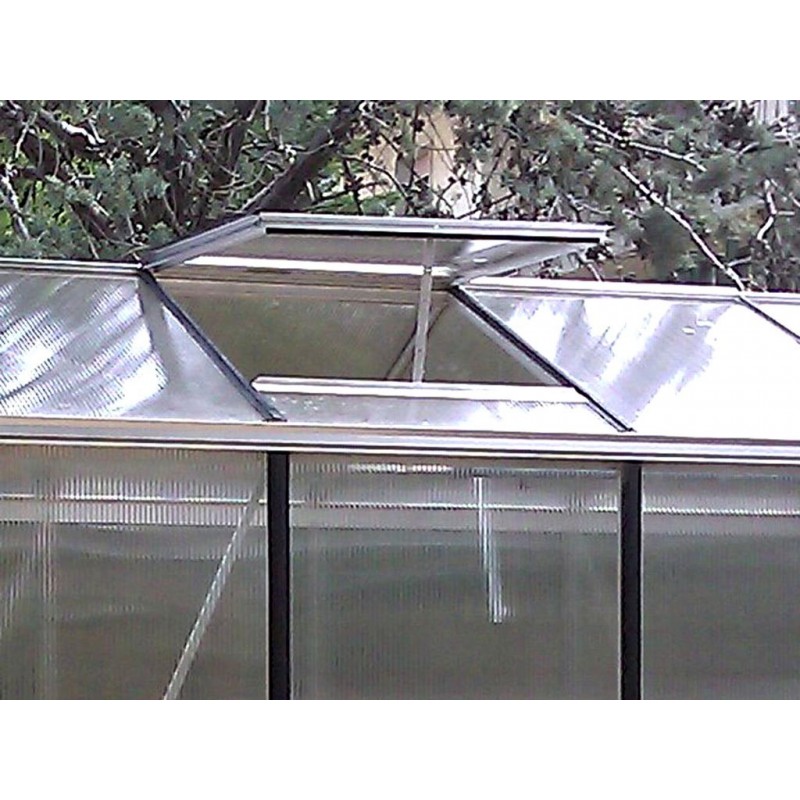 Roof window for Professional Greenhouse