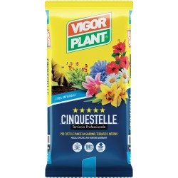 Cinquestelle soil 10 liters Vigorplant