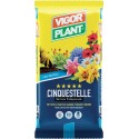 Cinquestelle soil 10 liters Vigorplant