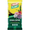 Soil Gerani & Surfinie 20 liters Vigorplant