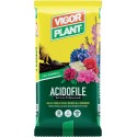 Acidophilous soil 20 liters Vigorplant