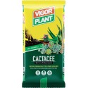 Cactaceae soil 5 liters Vigorplant