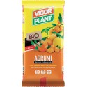 Citrus soil 20 liters Vigorplant