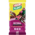 Selected bark of Pino Grande 25-40 mm Decoral 60 liters Vigorplant