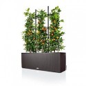 Trellis for Lechuza Trio 30 Planter