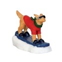 Snowboarding Dog Ref. 42222