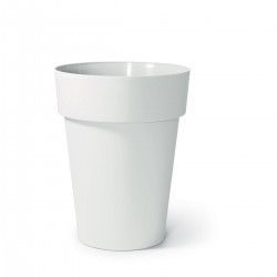 Vaso Cleo Alto Tondo