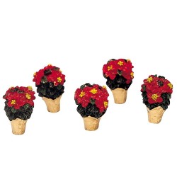 Poinsettias Set of 5 Ref. 34970