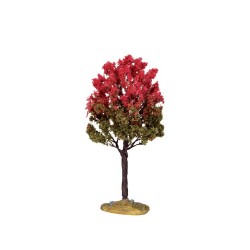 Black Tupelo Tree, Medium Cod. 44798