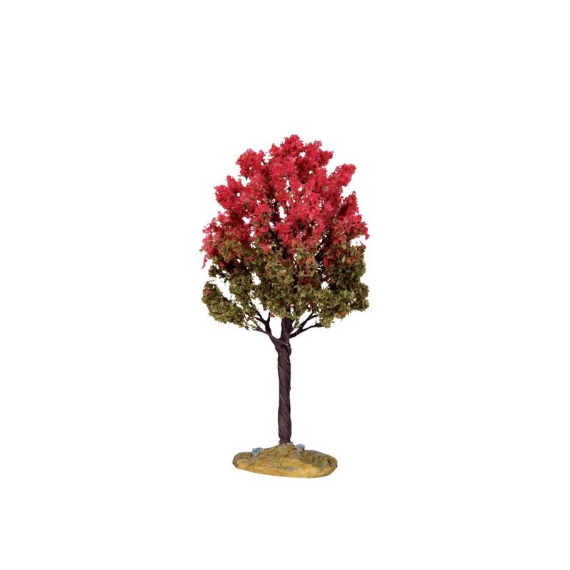 Black Tupelo Tree, Medium Ref. 44798