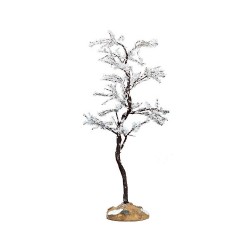 Morning Dew Tree, Medium Cod. 74250