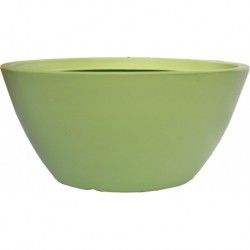 Camaiore bowl