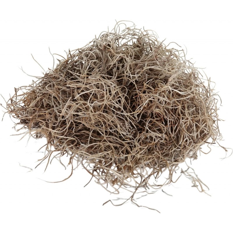 Natural Spanish Moss 500 g