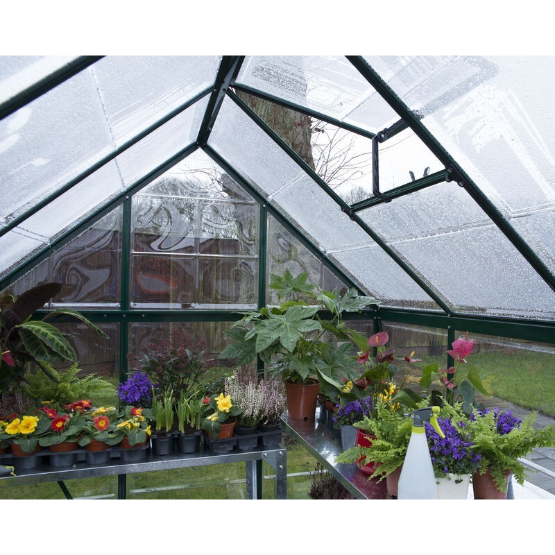 Canopia Harmony Transparent Garden Greenhouse in Polycarbonate 306X185X208 cm Green