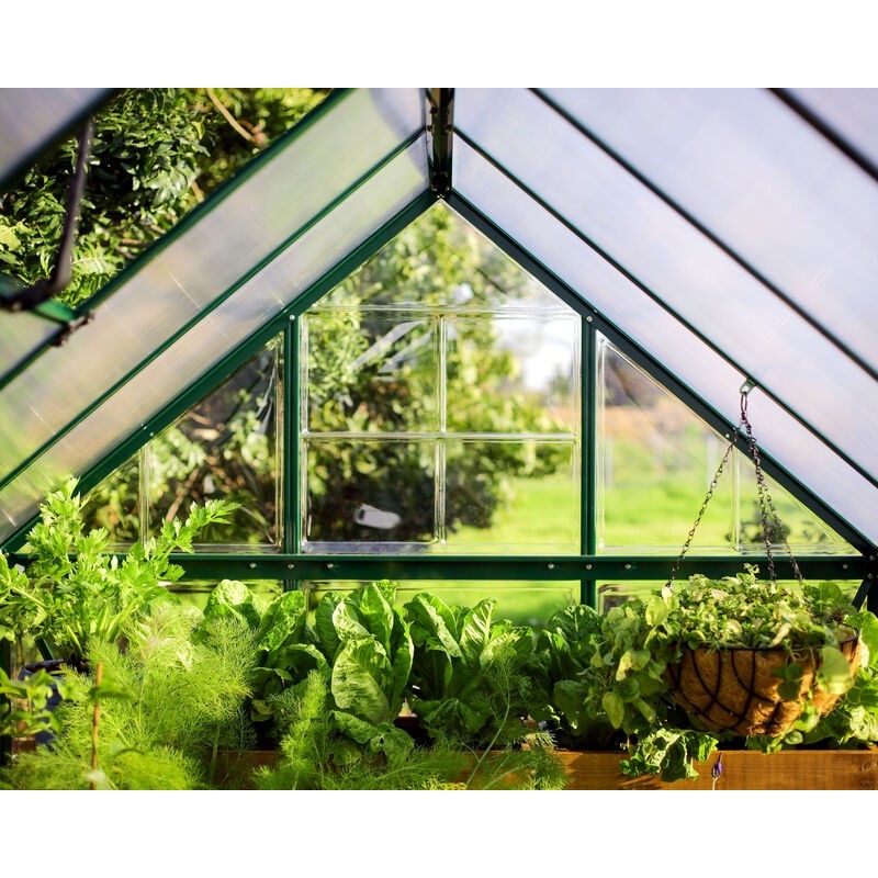 Canopia Hybrid Garden Greenhouse in Polycarbonate 126X185X208 cm Green