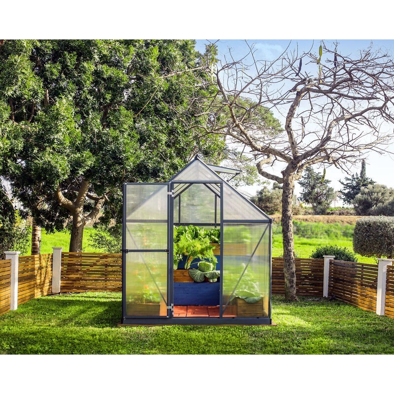 Canopia Mythos Double Layer Garden Greenhouse in Polycarbonate 247X185X208 cm Gray