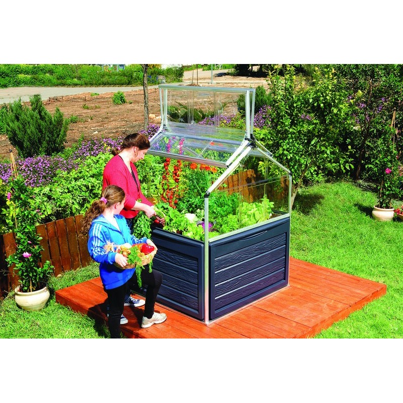 Canopia Plant-inn Mini Garden Greenhouse in Polycarbonate 118X118X148 cm