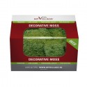 Moss Green Lichen 50 gr