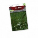 Green Moss 30g